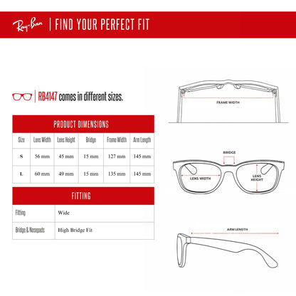 Ray-Ban RB4147 Boyfriend Sunglasses For Men For Women+ BUNDLE with Designer iWear Eyewear Care Kit